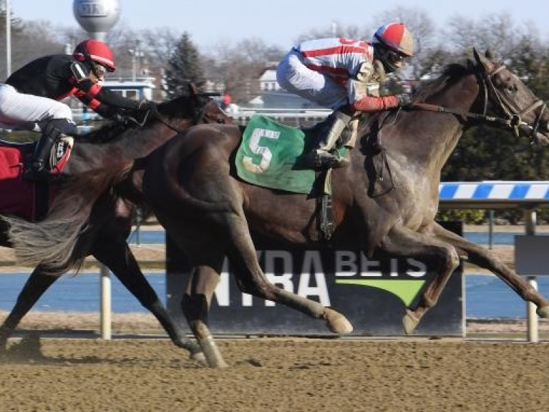 Preview: Gr.1 The Preakness Stakes 2021 Image 3